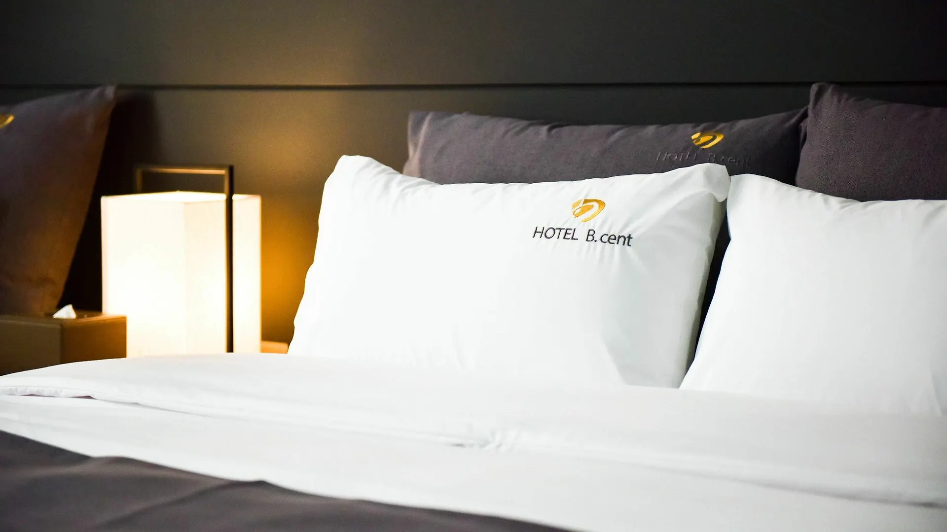 Bcent Hotel Ciudad Metropolitana de Ciudad Metropolitana de Busan